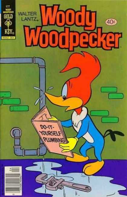 Woody Woodpecker 177