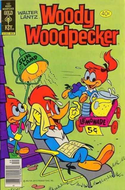 Woody Woodpecker 182 - Sun Lamp - Lawn Chair - Lemonade - Wagon - Woodpeckers