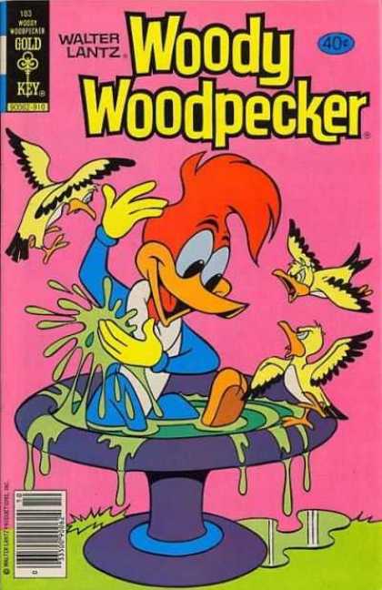 Woody Woodpecker 183 - Gold Key - Walter Lantz - 40 Cents - Birds - Fountain