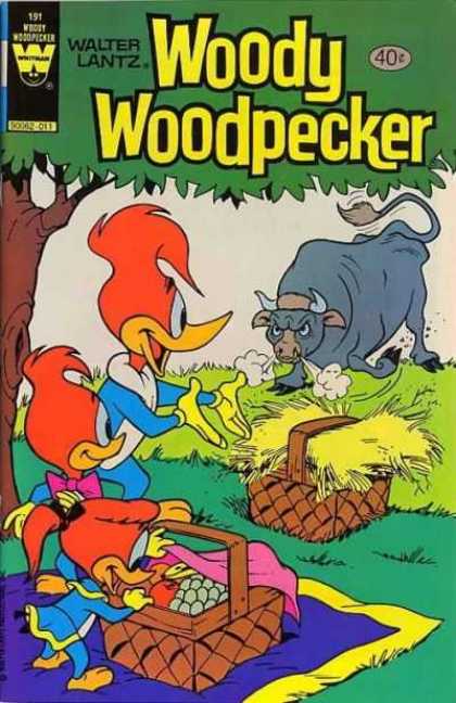Woody Woodpecker 191 - Walter Lantz - Steam Snorting Bull - 2 Picnic Baskets - Purple And Yellow Blanket - Pink Bow Tie