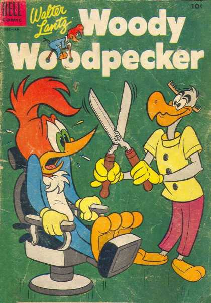Woody Woodpecker 28