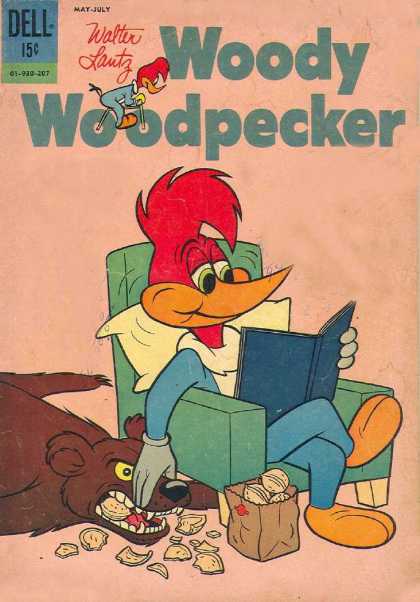 Woody Woodpecker 72