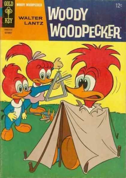 Woody Woodpecker 93 - Walter Lantz - Gold Key - Flame - Tent - Outdoor