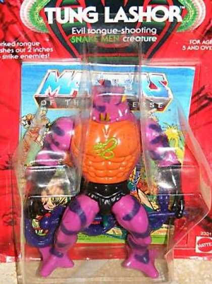 Action Figure Boxes - Masters of the Universe: Tung Lashor