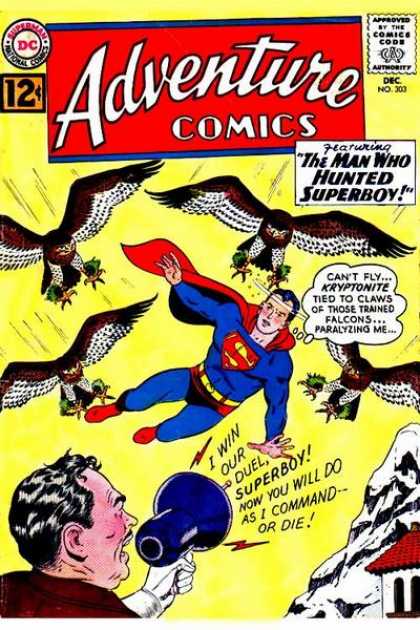 Adventure Comics 303 - Birds - Superboy - Boy Of Steel - Hawk - Falcons - Curt Swan