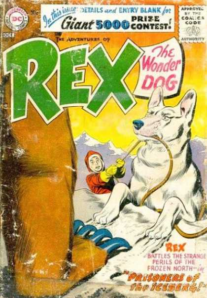Adventures of Rex the Wonder Dog 29