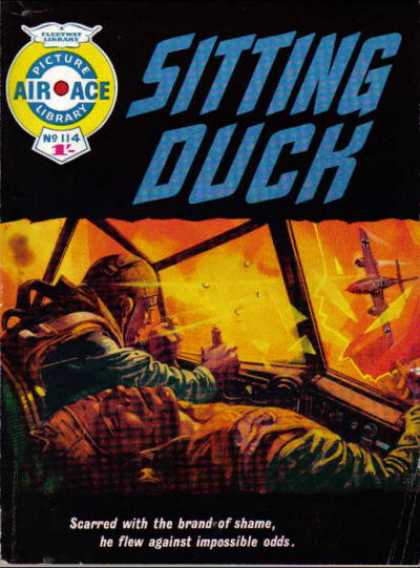 Air Ace Picture Library 114