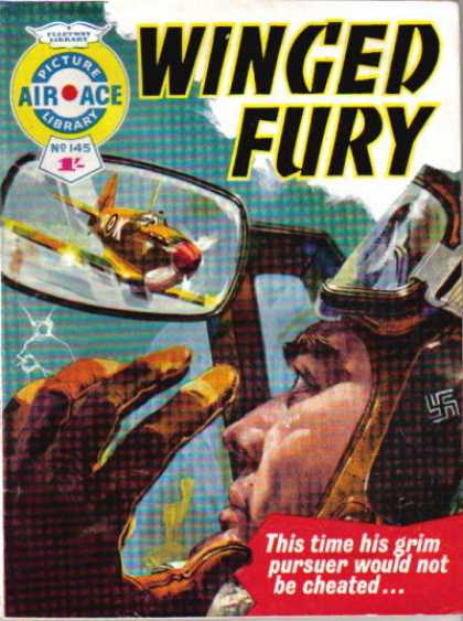 Air Ace Picture Library 145