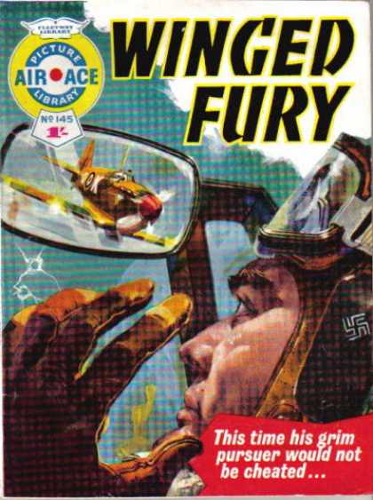 Air Ace Picture Library 145