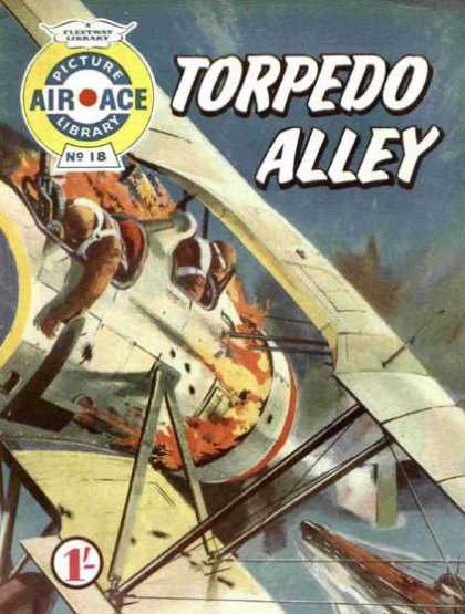 Air Ace Picture Library 18