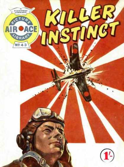 Air Ace Picture Library 43