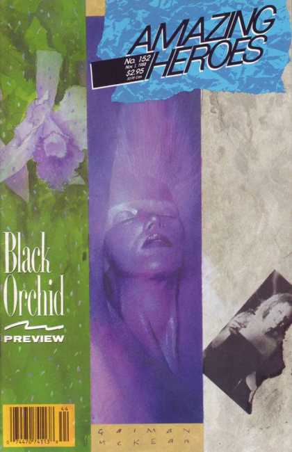 Amazing Heroes 152 - Dave McKean