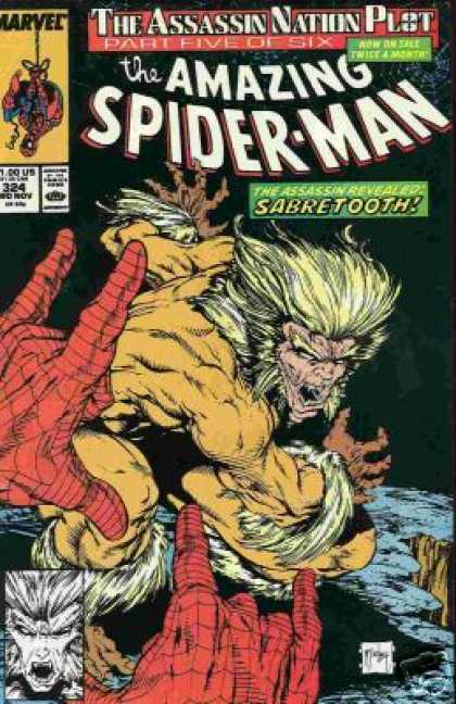 Amazing Spider-Man 324 - Todd McFarlane