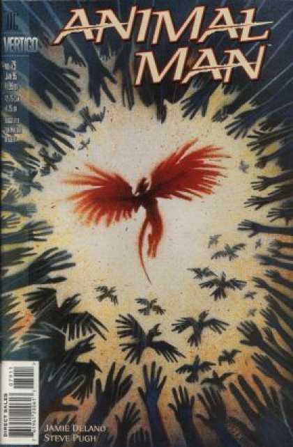 Animal Man 79 - Vertigo - Birds - Hands - Circle - Jamie Delano U0026 Steve Pugh