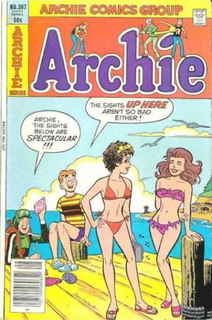Archie 307
