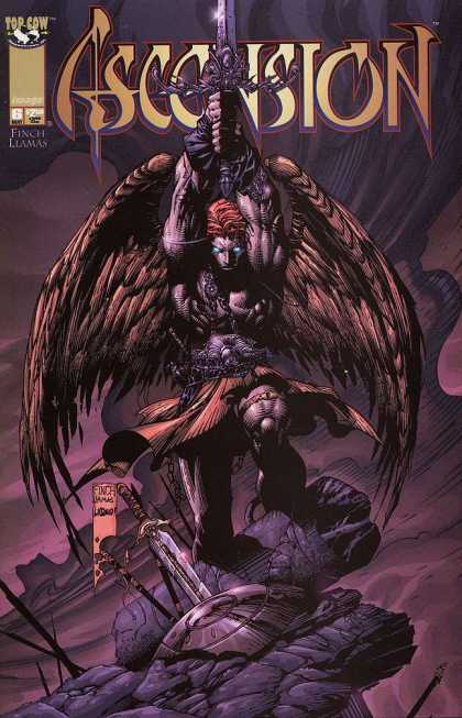 Ascension 6 - David Finch