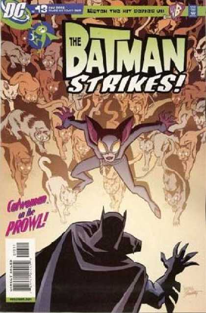 Batman Strikes 13