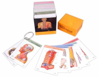 Bestsellers (2007) - Netter's Anatomy Flash Cards: With STUDENT CONSULT Online Access (Netter Basic S