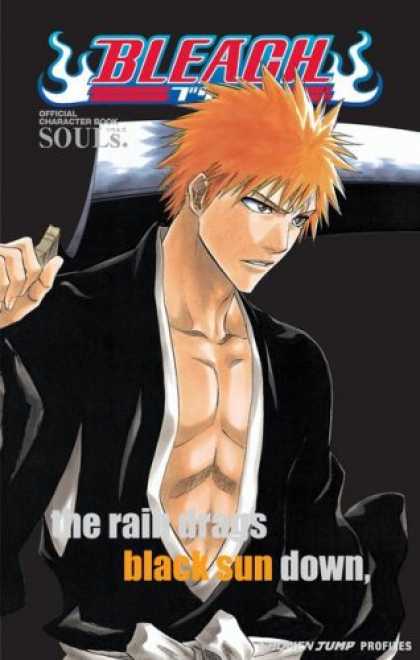 Bestselling Comics (2008) - Bleach SOULs. Official Character Book (Shonen Jump Profiles) - Bleach - Ichigo - Kun - Raika - Manga