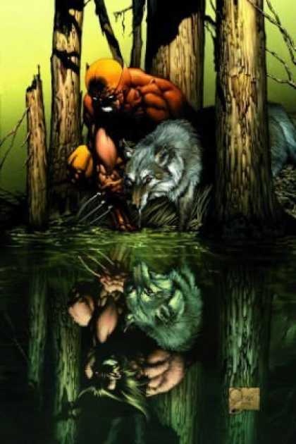 Bestselling Comics (2008) - Wolverine: Origins, Vol. 1: Born in Blood (v. 1) by Daniel Way - Swamp - Wolf - Water - Dead Trees - Beast