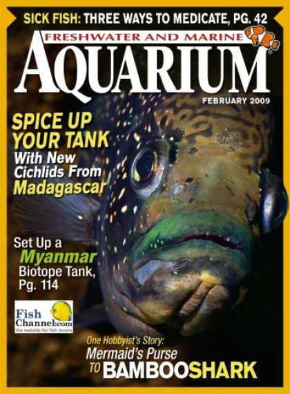 Bestselling Magazines (2008) - Freshwater and Marine Aquarium