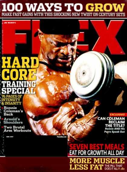 Bestselling Magazines (2008) - Flex