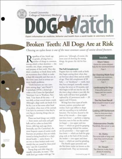Bestselling Magazines (2008) - DogWatch