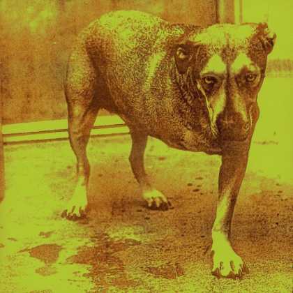 Bestselling Music (2007) - Alice in Chains by Alice In Chains
