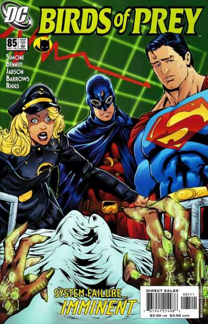 Vilmar Conrado Birds of Prey 85 - Vilmar Conrado