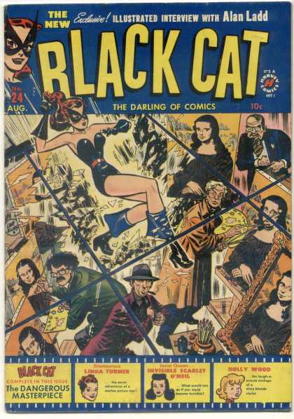 Black Cat 24