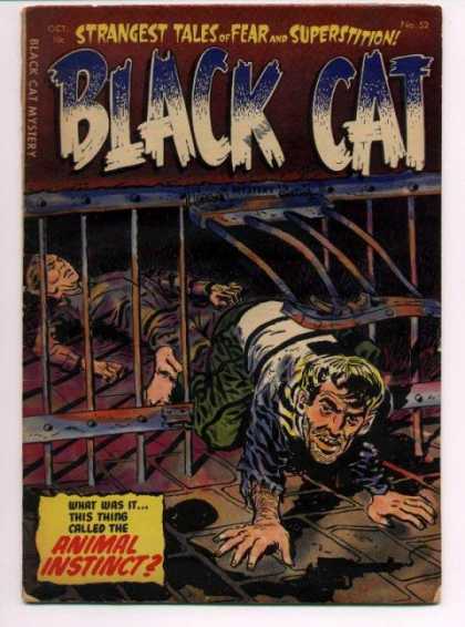 Black Cat 52