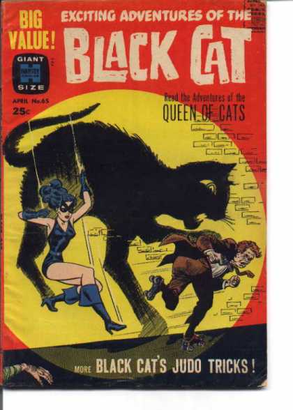 Black Cat 65