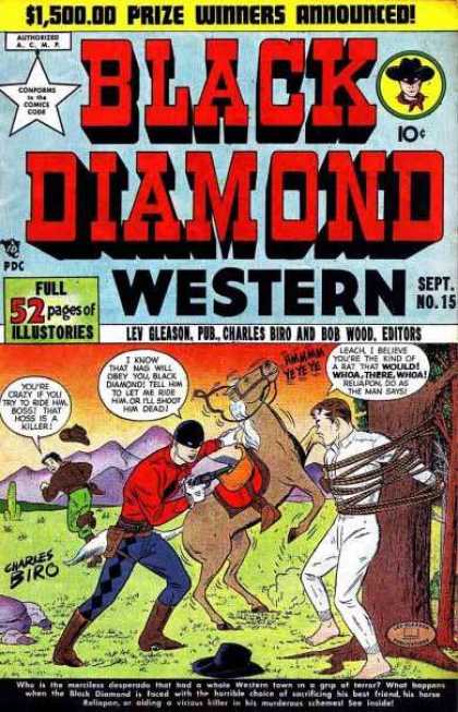 Black Diamond Western 15