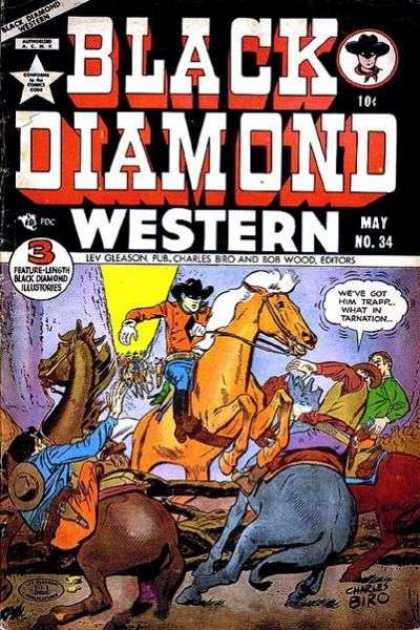 Black Diamond Western 34