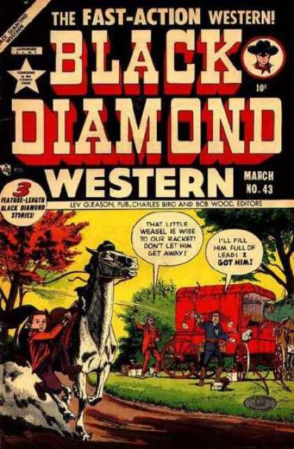 Black Diamond Western 43