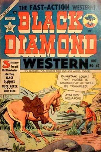 Black Diamond Western 47