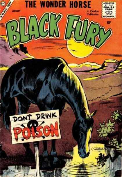 Black Fury 17 - Poison - Horse - Water - Fury - Wonder