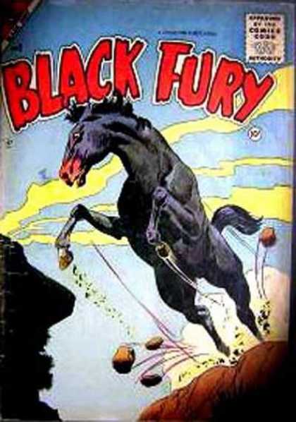 Black Fury 2
