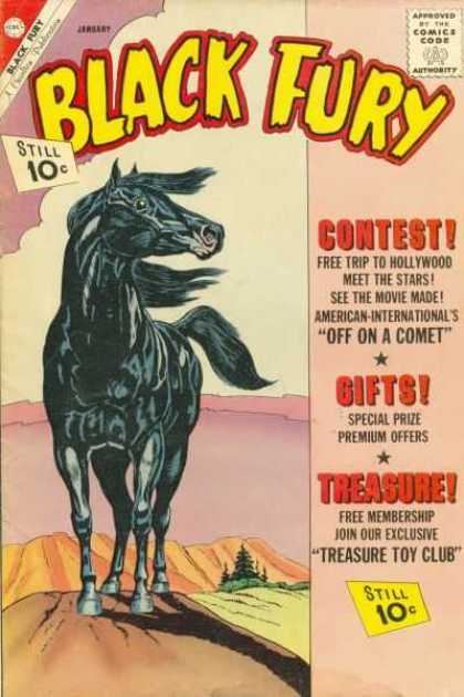 Black Fury 34 - Horse - Contest - Gifts - Treasure - Mountain