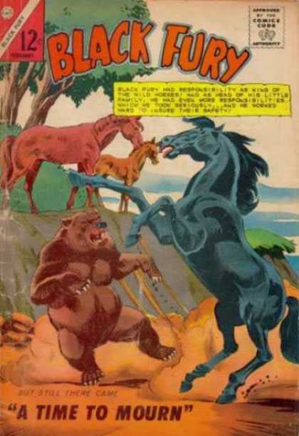 Black Fury 51 - Bear - Family - Protecting - Colt - Defending