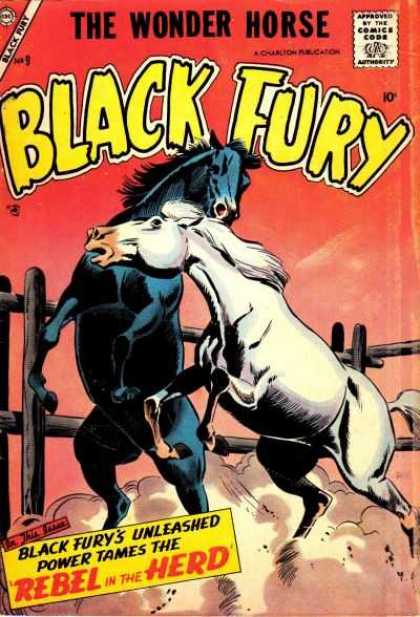 Black Fury 9 - Noble - Powerful - Strong - Fearless - Stalion