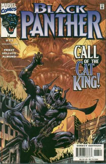Black Panther (1998) 13