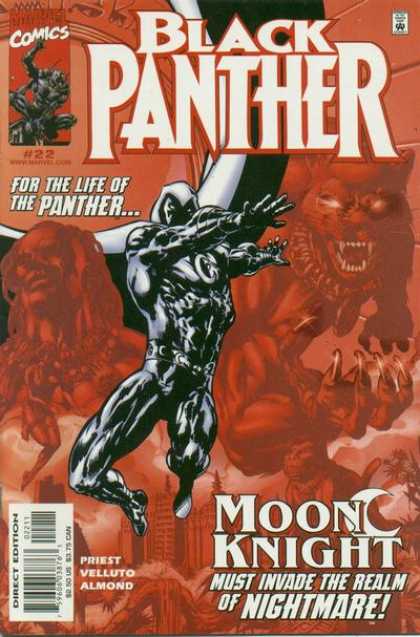 Black Panther (1998) 22