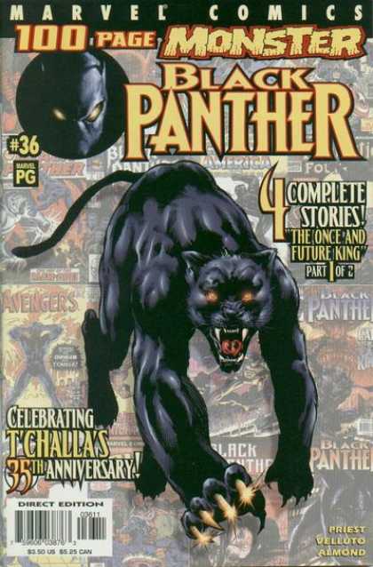 Black Panther (1998) 36