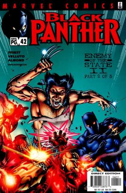 Black Panther (1998) 42