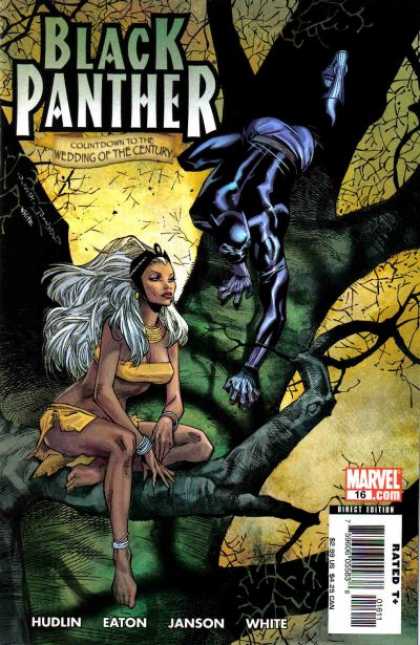 Black Panther (2005) 16 - Olivier Coipel