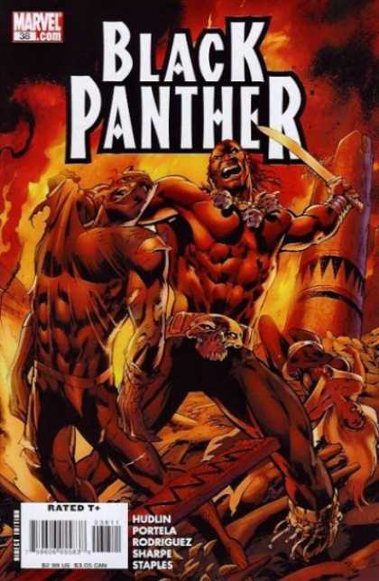 Black Panther (2005) 38 - Sword - Skull Necklace - Skull Belt Buckle - Flames - Costume - Alan Davis