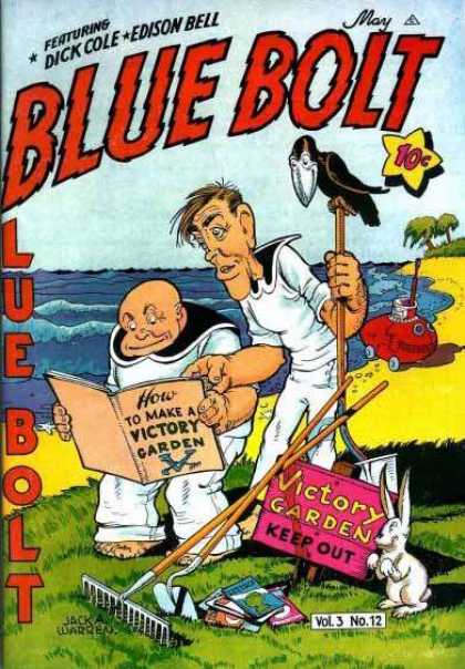 Blue Bolt 36