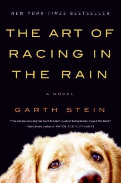 Books About Art - The Art of Racing in the Rain: A Novel
