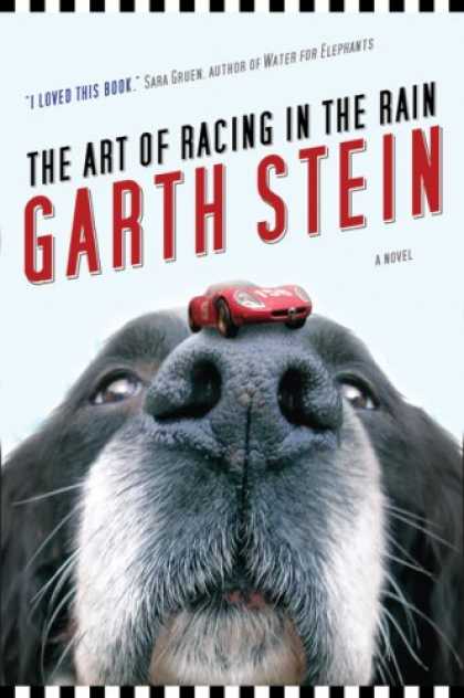 Books About Art - Art of Racing in the Rain